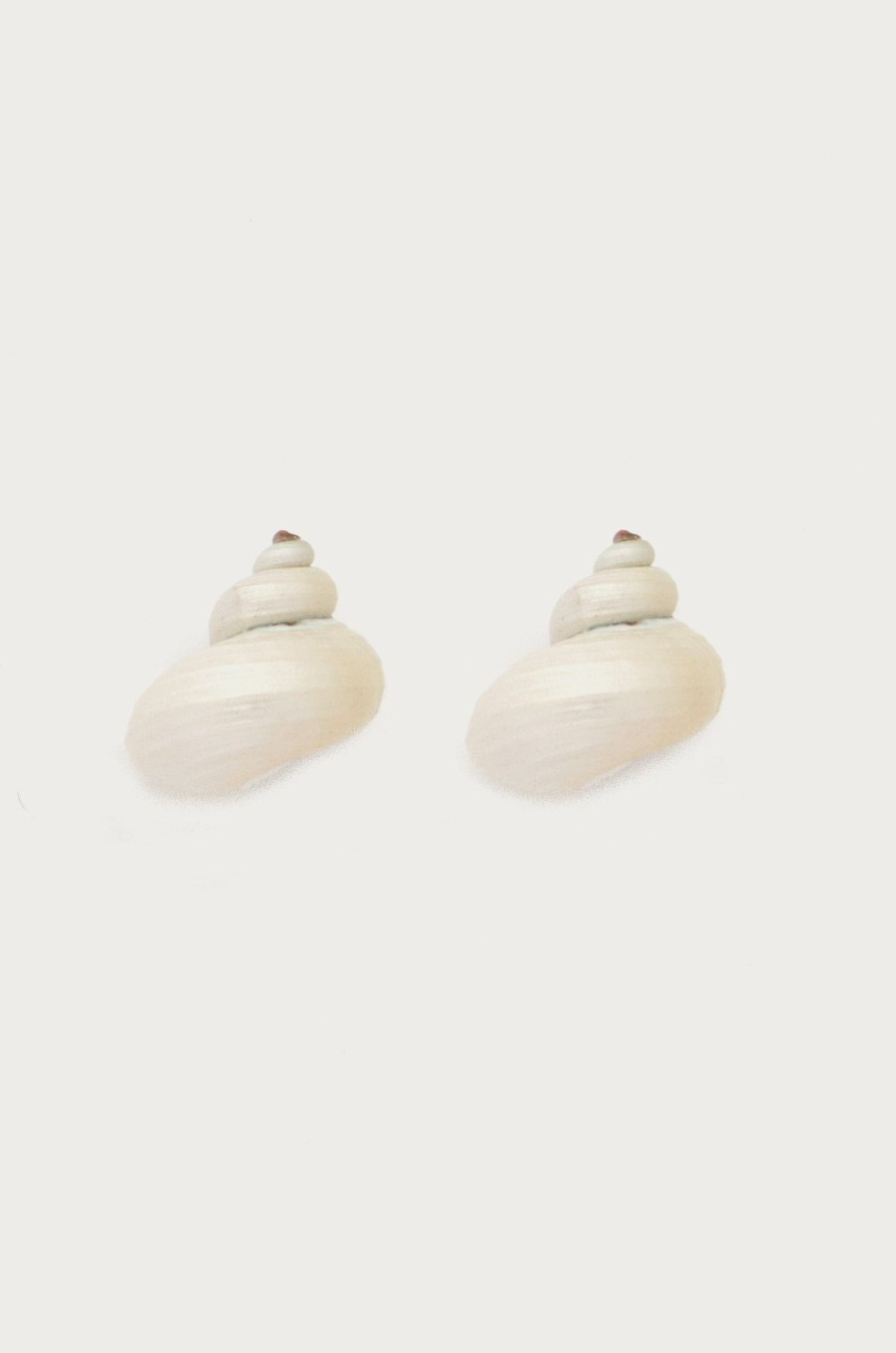 Des Boucles D'Oreilles Petit Moments | Des Boucles D'Oreilles Conque